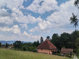 Požega, Srbija, ,Kuća,Prodaja - Ponuda,1873