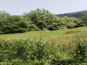 Potočanje, Užice, Srbija, ,Zemljište,Prodaja - Ponuda,1882