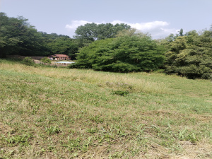 Potočanje, Užice, Srbija, ,Zemljište,Prodaja - Ponuda,1882