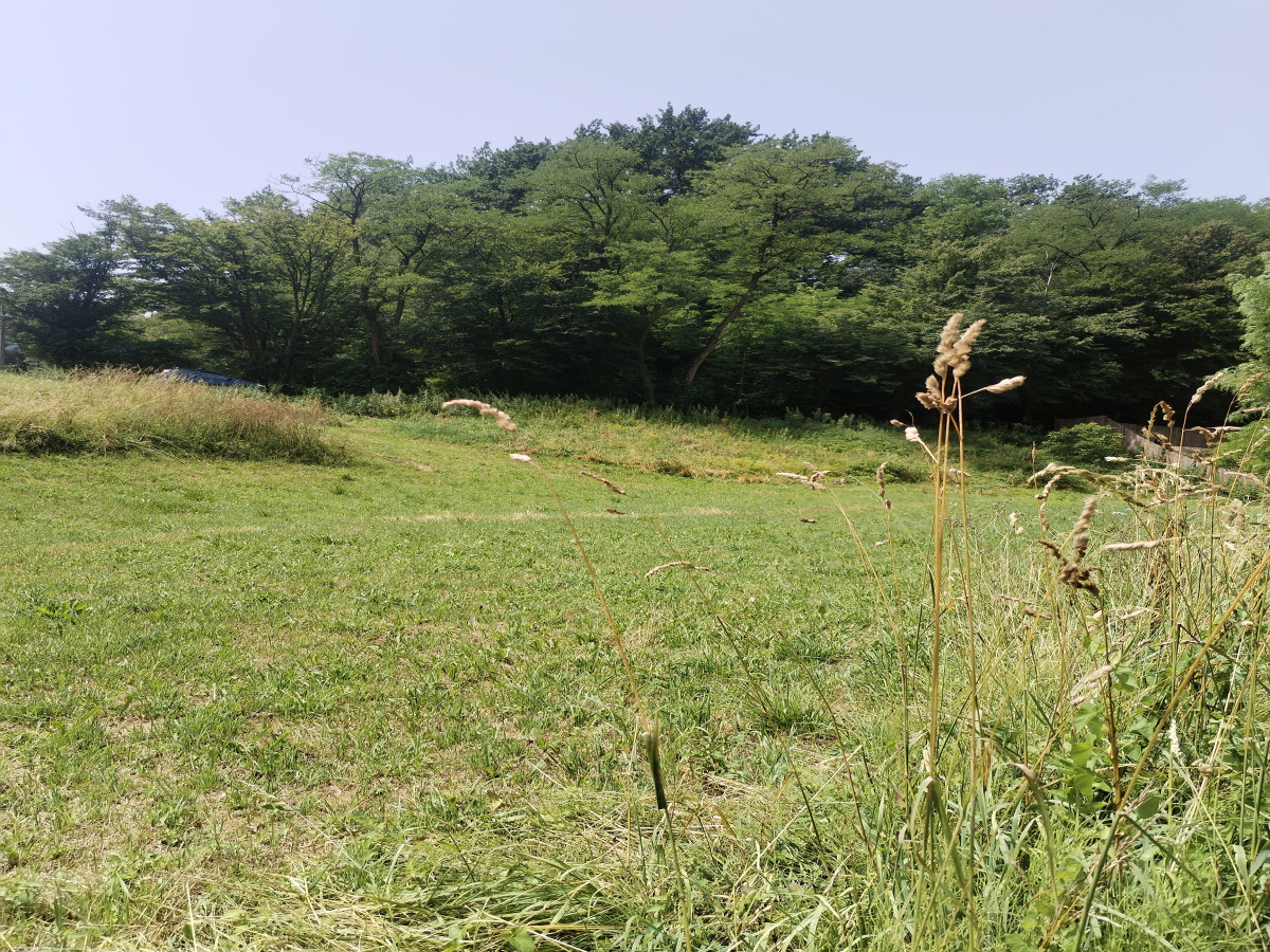 Potočanje, Užice, Srbija, ,Zemljište,Prodaja - Ponuda,1882