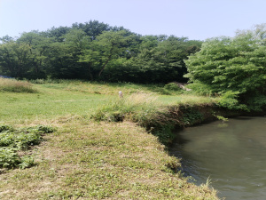 Potočanje, Užice, Srbija, ,Zemljište,Prodaja - Ponuda,1882