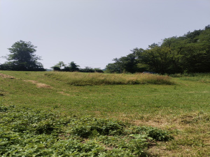 Potočanje, Užice, Srbija, ,Zemljište,Prodaja - Ponuda,1882