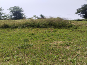 Potočanje, Užice, Srbija, ,Zemljište,Prodaja - Ponuda,1882