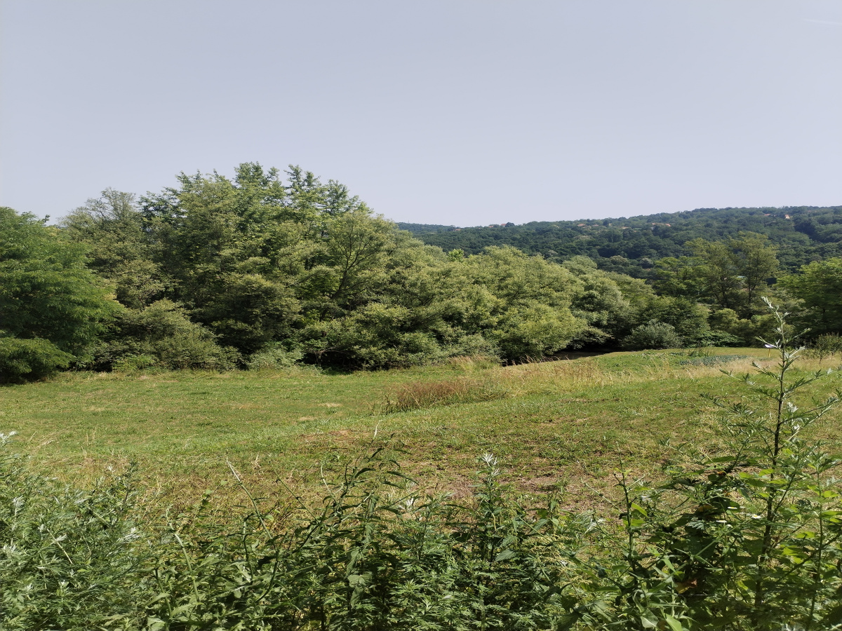 Potočanje, Užice, Srbija, ,Zemljište,Prodaja - Ponuda,1882