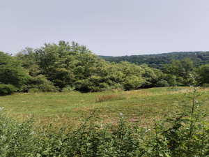 Potočanje, Užice, Srbija, ,Zemljište,Prodaja - Ponuda,1882