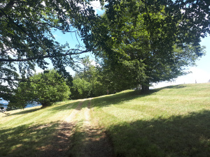 Zova, Zlatibor, Srbija, ,Zemljište,Prodaja - Ponuda,1887