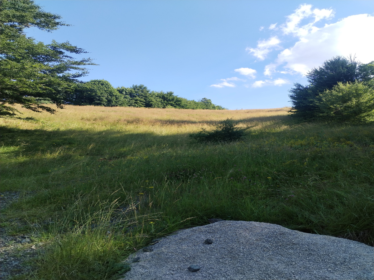 Zova, Zlatibor, Srbija, ,Zemljište,Prodaja - Ponuda,1887
