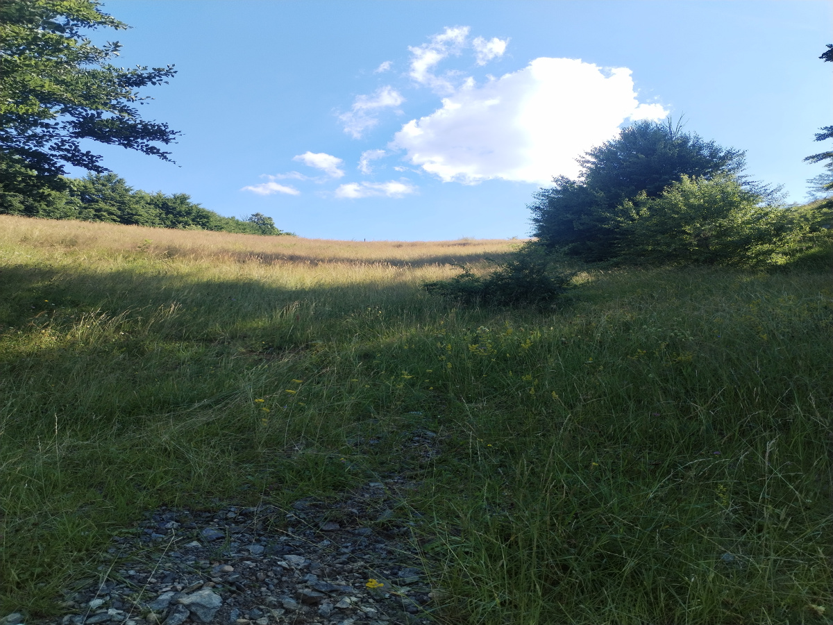 Zova, Zlatibor, Srbija, ,Zemljište,Prodaja - Ponuda,1887