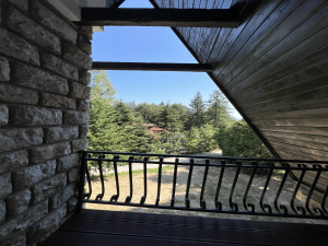 Umina voda, Čajetina, Srbija, ,Kuća,Prodaja - Ponuda,1894