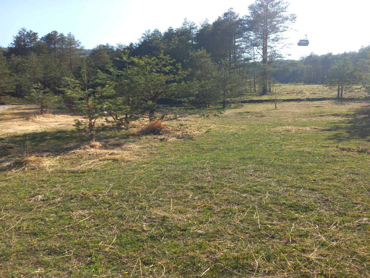 Ribnica, Tornik, Zlatibor, Srbija, ,Zemljište,Prodaja - Ponuda,1896