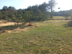 Ribnica, Tornik, Zlatibor, Srbija, ,Zemljište,Prodaja - Ponuda,1896