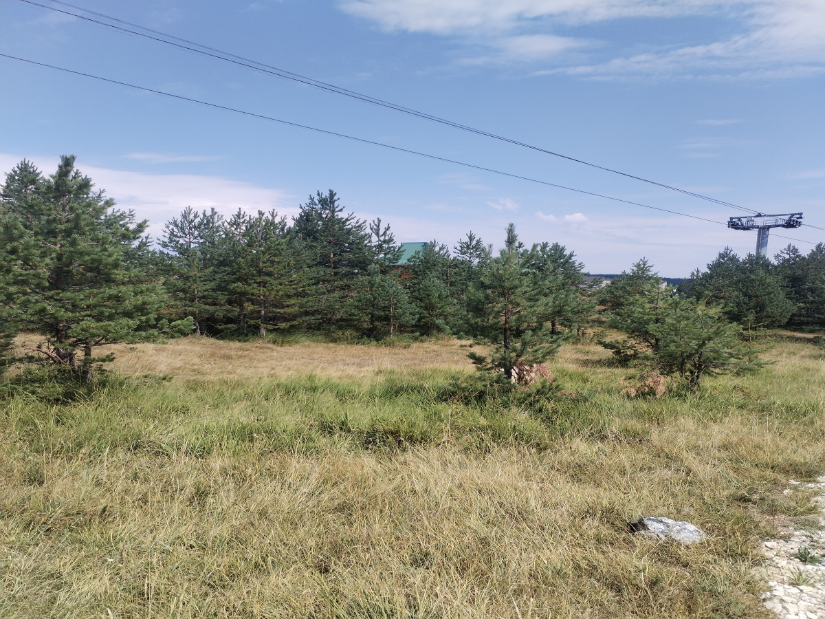 Ribnica, Tornik, Zlatibor, Srbija, ,Zemljište,Prodaja - Ponuda,1896