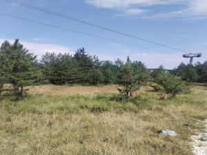 Ribnica, Tornik, Zlatibor, Srbija, ,Zemljište,Prodaja - Ponuda,1896