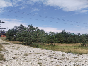 Ribnica, Tornik, Zlatibor, Srbija, ,Zemljište,Prodaja - Ponuda,1896